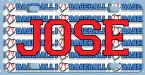 I love baseball bike plate gift