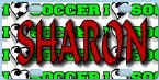Love_Soccer.jpg (15968 bytes)
