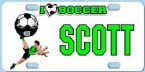 Soccer_Kick.jpg (10225 bytes)