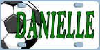 soccer-leftball.jpg (12998 bytes)