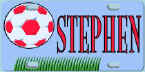 soccer_grass.jpg (10756 bytes)