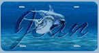 dolphins.jpg (7480 bytes)