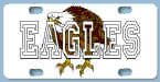 Eagles.jpg (14041 bytes)