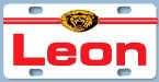 Lions.jpg (11188 bytes)