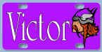 Viking.jpg (13243 bytes)