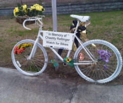 Ghost Bike License Plate