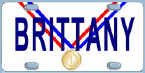 goldmedal.jpg (11746 bytes)