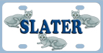 3cats-slate.jpg (9933 bytes)