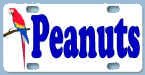 personalized bike plates for your pet carrier