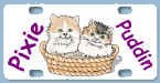 catbasket.jpg (14879 bytes)