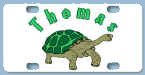 thomas turtle.jpg (10370 bytes)
