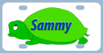 turtle-sammy.jpg (10345 bytes)