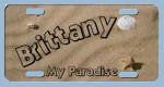  sand and seashells background image on a license tag personalized with your name