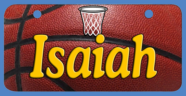 basketball hoop bike plate