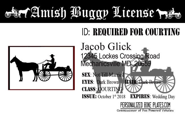 buggy license