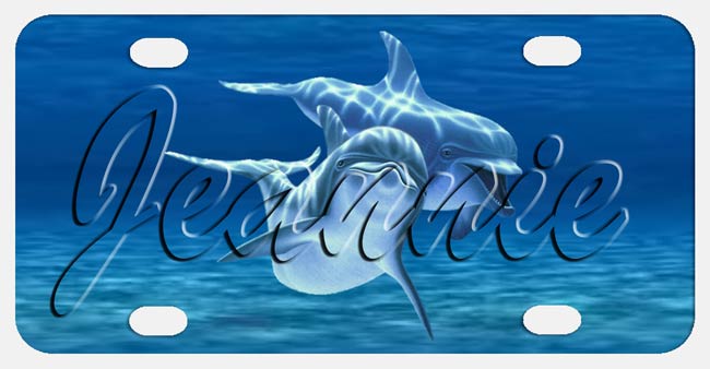 Dolphin Lovers Bike Plate