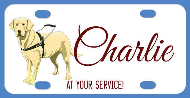 personalized bike plates for your pet carrier